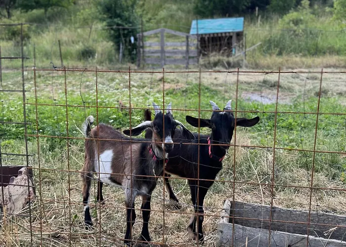 Semesterbostad Kapina - Kamilka Prosiek